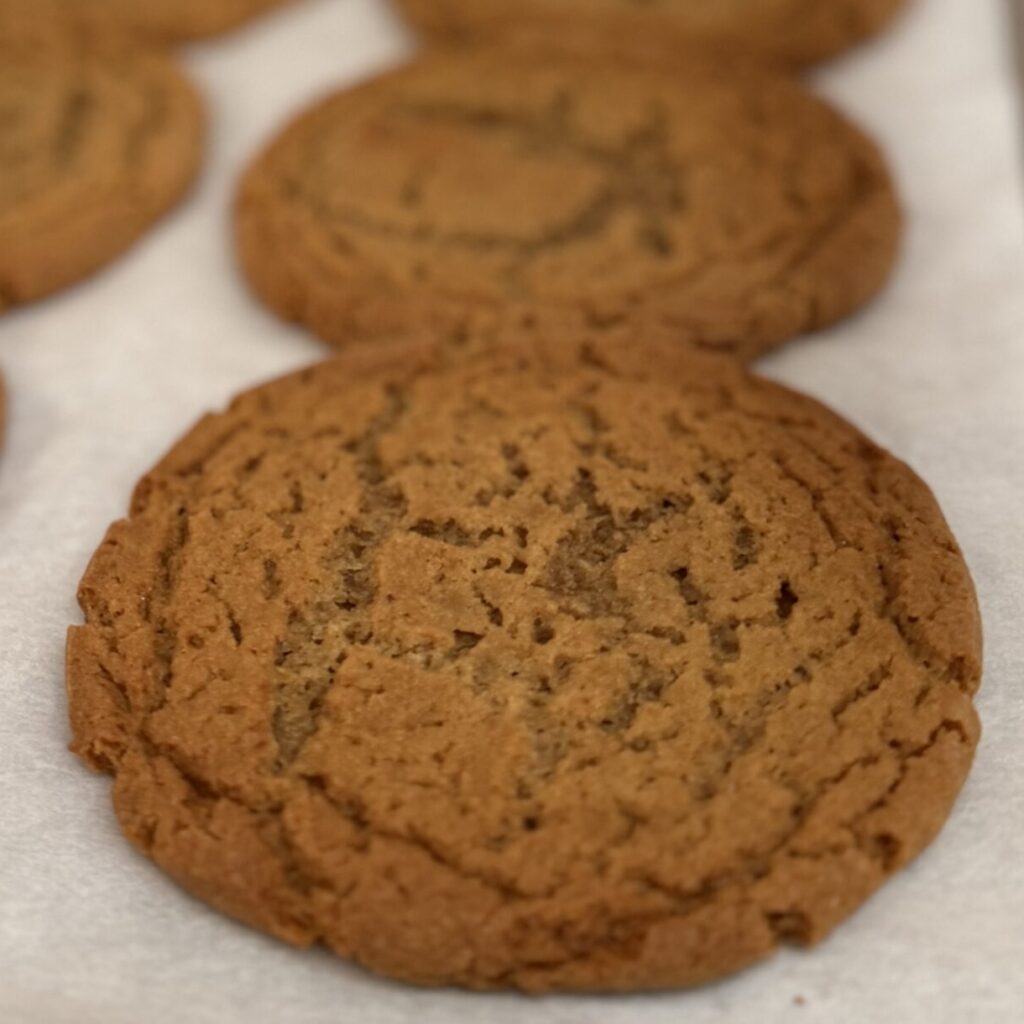Molasses Cookie